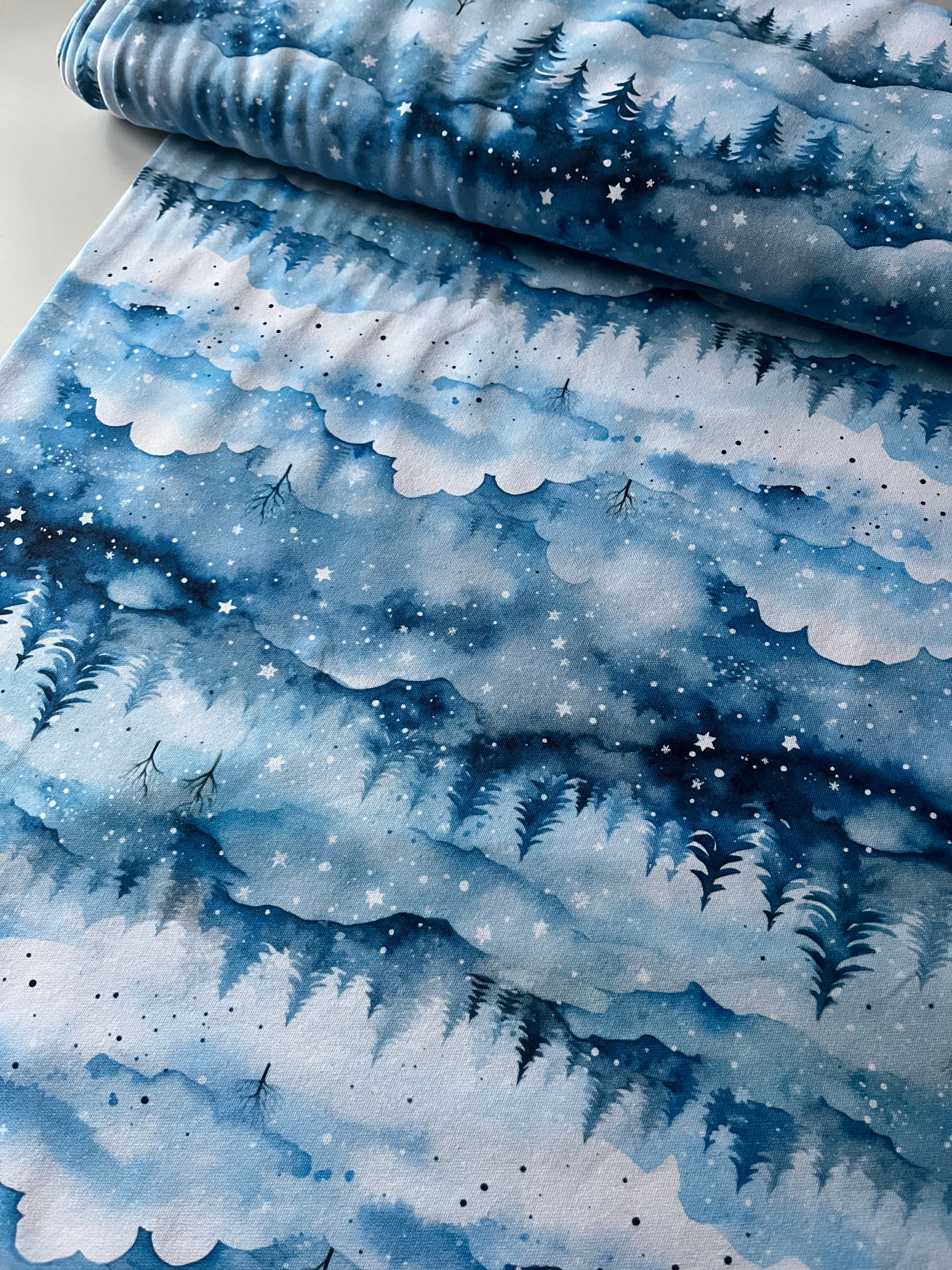 Schnee Landschaft French Terry  Lagerware